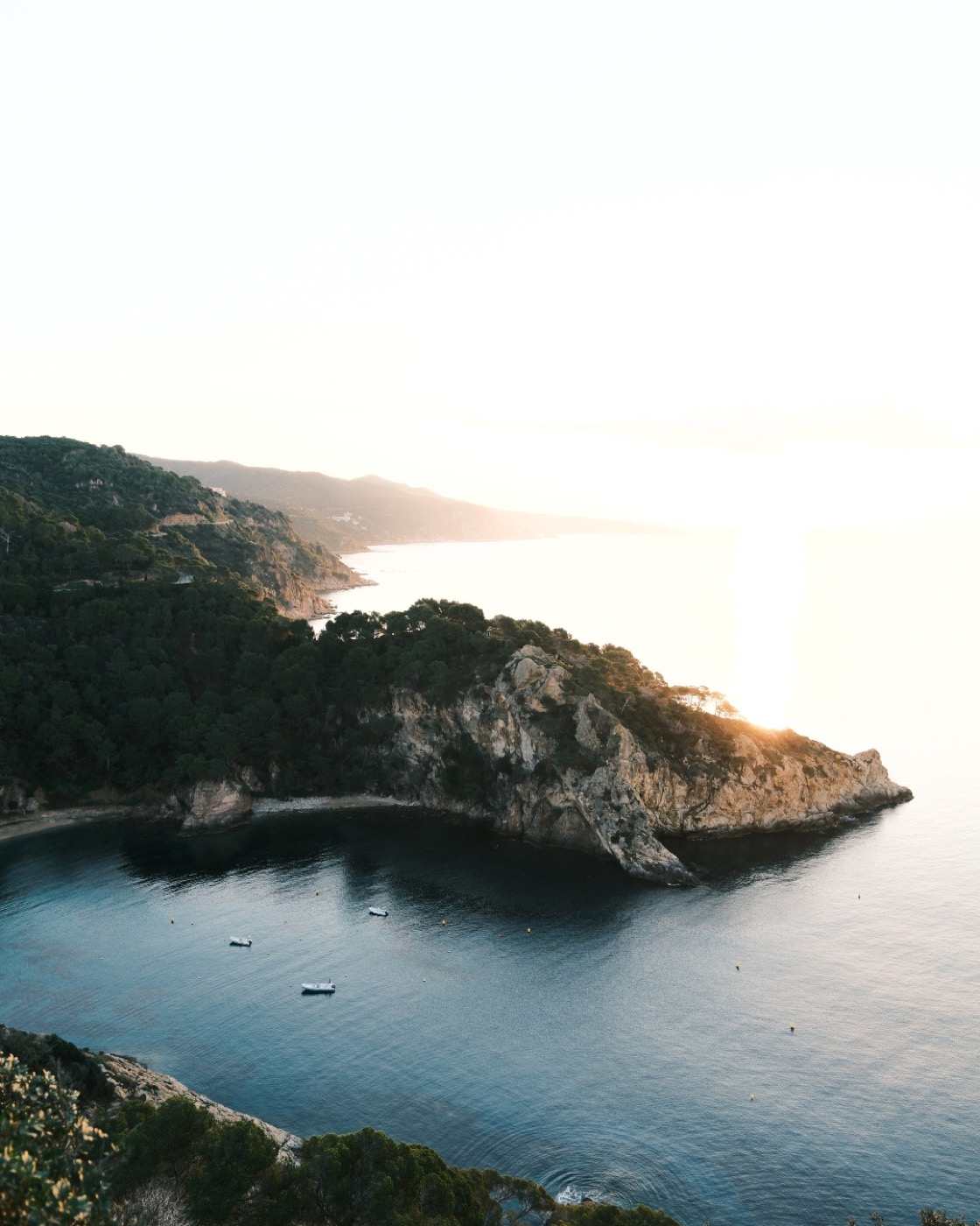 Wellness destination strategy and concept design